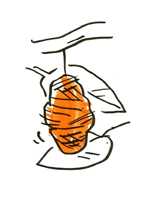 Change Symbol Cards (43)